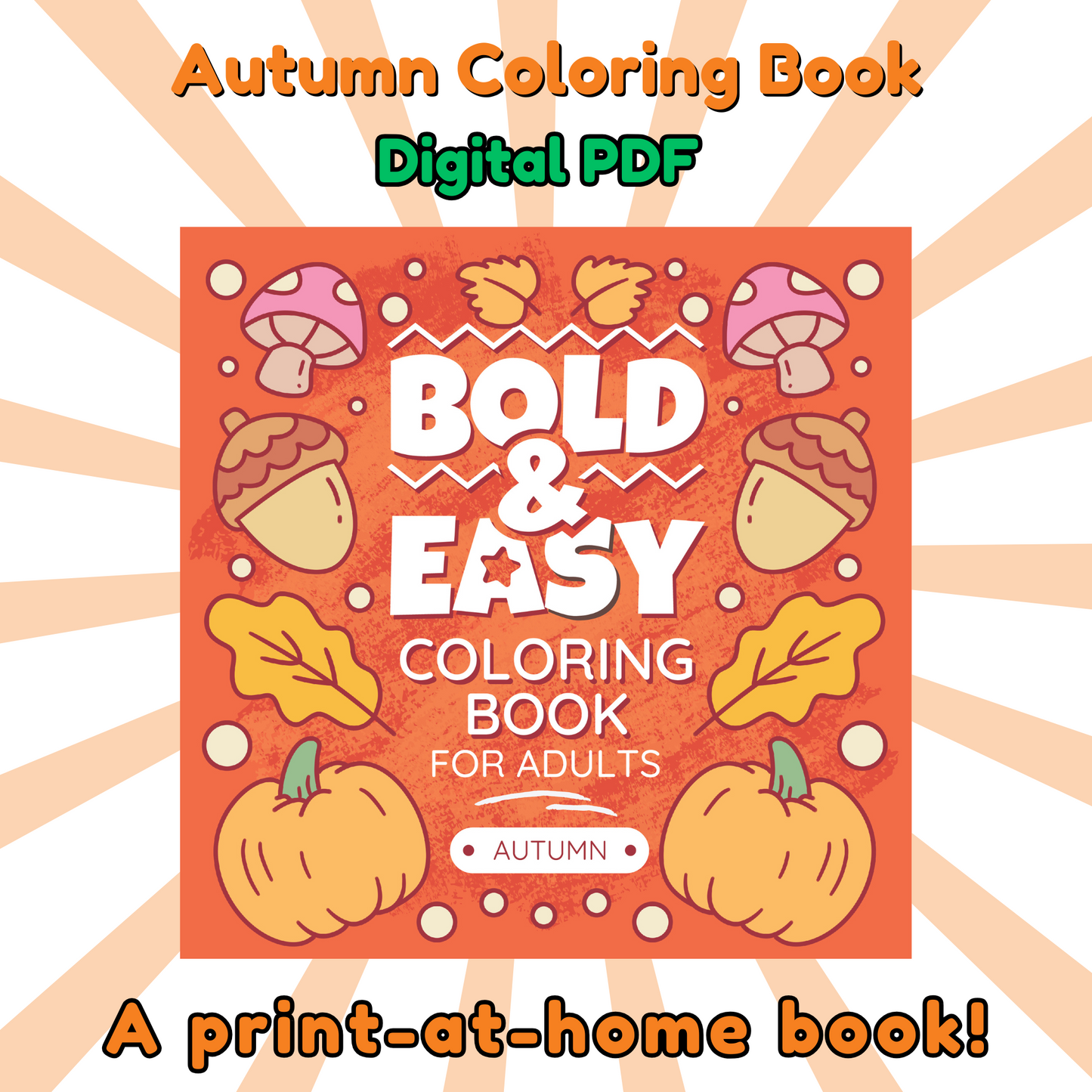 Autumn Bold & Easy Coloring Book